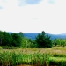 View from Guest House