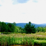 View from Guest House