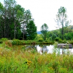 Swiming Hole