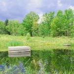 Diving Platform