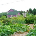 Plum House from Garden