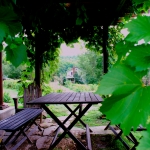 Guest House From the Plum House
