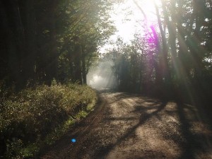 The Sun Rays on the Driveway