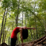 July 12-14, 2013 - Judi Friedman